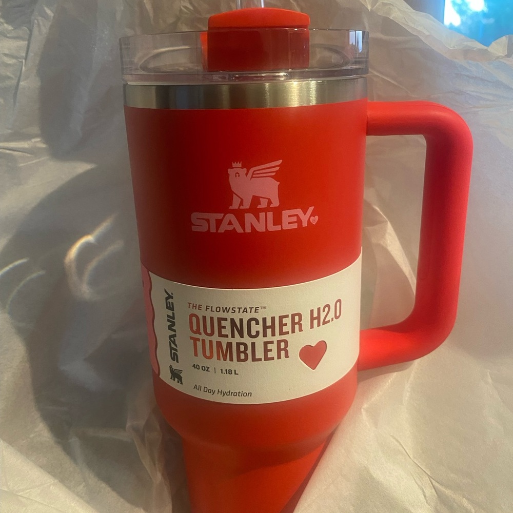 Valentines Day Stanley ❤️